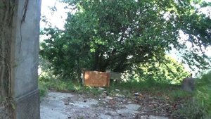 Старый дом  в Италии