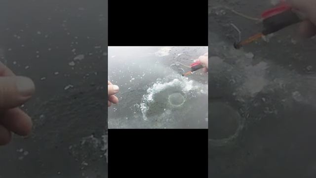 рыбалка по первому льду. ловля ротана