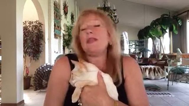 Find the Beautiful Dream Hidden in Your Nightmare: A Joke M смотреть онлайн