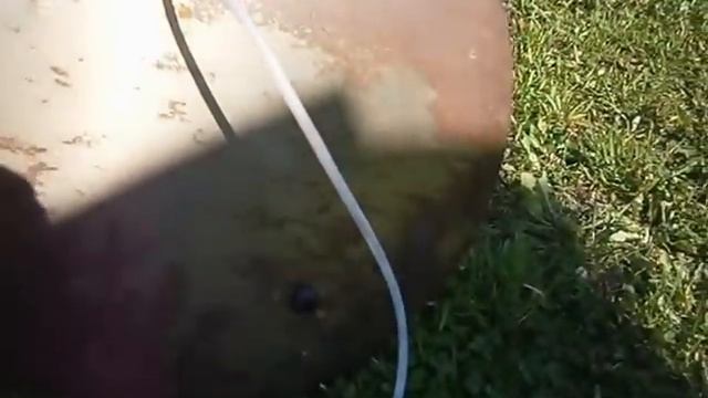 Живая рыба карп и ее перевозка в легковом автомобиле. смотреть онлайн