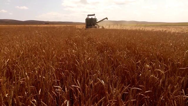 1530 New Holland. 8060 New Holland. 955 John Deere biçerdöver смотреть онлайн