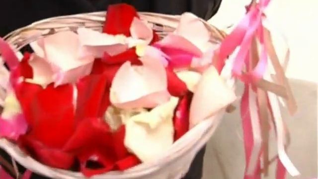 Свадьба Света и Миша. 3 дворец бракосочетания смотреть онлайн