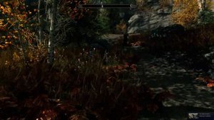 The Elder Scrolls V  Skyrim Special Edition # 22 Ущелье Утренней Зари...Форт Стражи Рассвета....