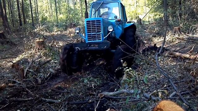 МТЗ-82 с лебедкой, дорога в болото (ольха) смотреть онлайн