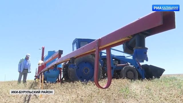 В республике приступают к борьбе с саранчой смотреть онлайн