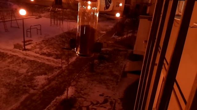 Кормушка для синиц! экспериментальный стрим