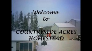 Winner of the 100 Subscriber draw