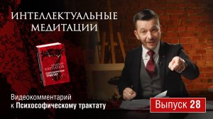 Интеллектуальные медитации. Видеокомментарий к Психософическому трактату: выпуск 28