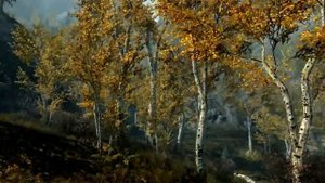Skyrim - Природа 1