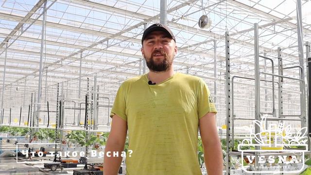 Что такое Весна