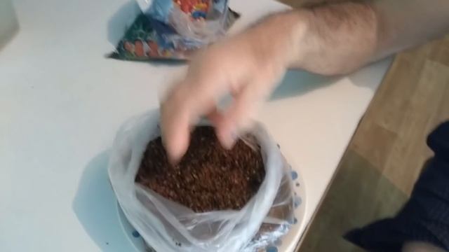 Всё о грунтах!Каким должен быть грунт?Почему его нельзя кипятить? смотреть онлайн