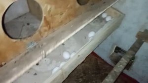 Зимний курятник, своими руками Осень ,кролики , куры