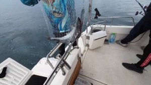 Рыбалка во Владивостоке❗️ЛОВИМ СИМУ❗️ТРОЛЛИНГ❗️КРАСНАЯ РЫБА❗️