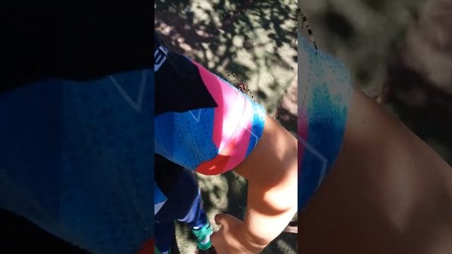 ну очень мааааленький паучок .рёбёнок излечился от боязни пауков ? смотреть онлайн