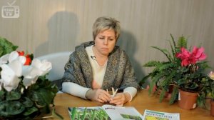 Как сохранить чеснок? Советы от Hitsad ?+ Бонус "Рецепт Масло с Чесноком" ?