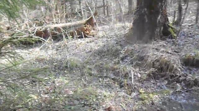 дача, апрель смотреть онлайн