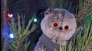 Басик елку наряжает