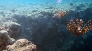 НЛО в Красном море