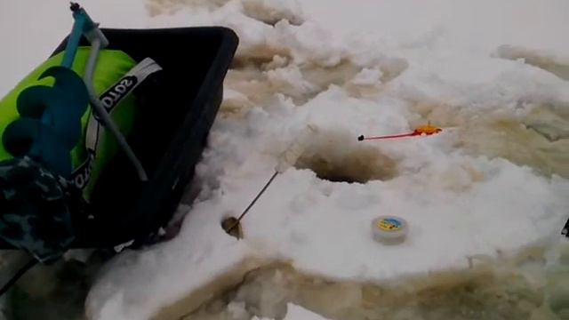 Сорожка (оз. Долгое) смотреть онлайн