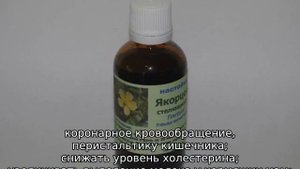 Якорь трава: описание, где растет, сфера применения