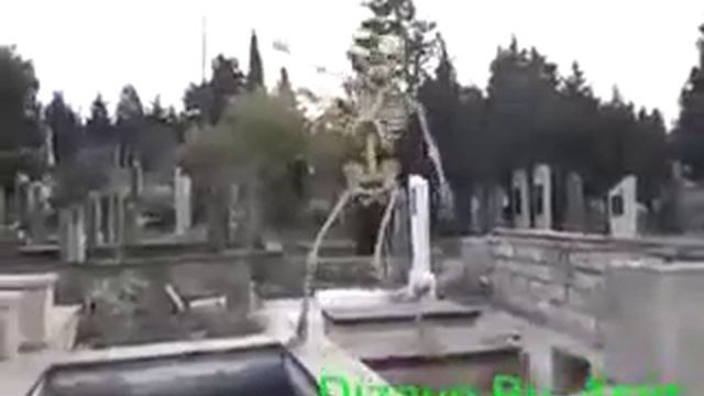 Санкт Петербург смотреть онлайн