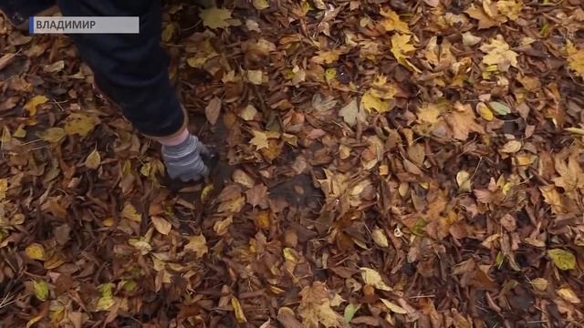 2016 10 14 ИНФОБЛОК Культура HD смотреть онлайн