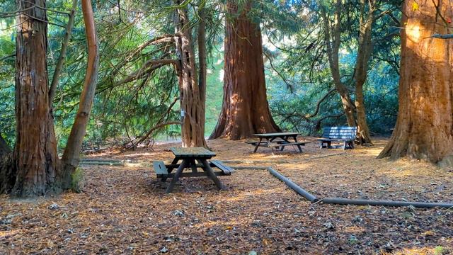 RIPLEY Castle & Gardens | Hidden Gems, History, and Natural Beauty | 4K Cinematic Walk Tour смотреть онлайн