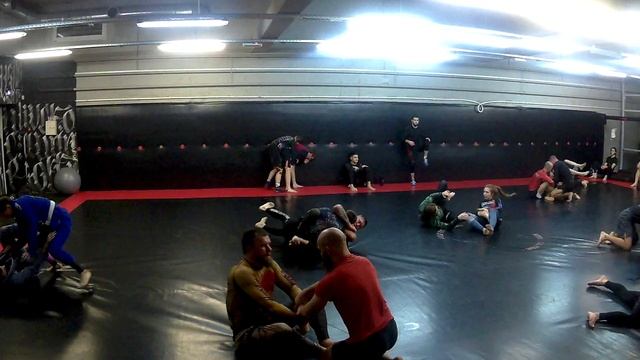 Open mat 09.12.23 Волк (1)