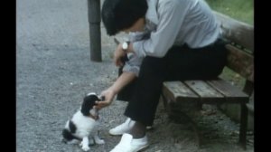 太陽にほえろ! 第55話 どぶねずみ