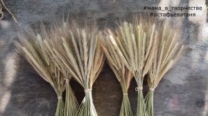 Bouquet of spikelets of wheat. Do-it-yourself bouquet doubler. Autumn crafts. DIY bridal bouquet