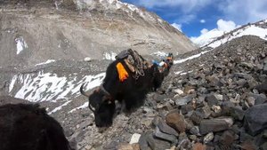 Александр Абрамов на Эвересте 2019 Проект "7вершин за 7 месяцев"