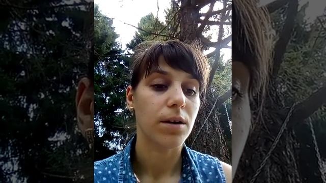 Обзор детской книги "Мамины сказки" смотреть онлайн