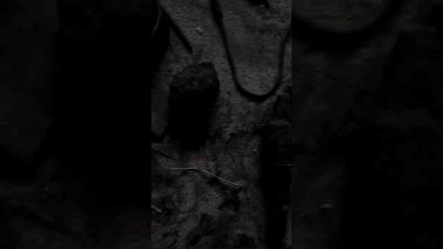 Купил металлоискатель первый находки смотреть онлайн