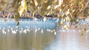 Поёт Галина Невара. Одесская осень.