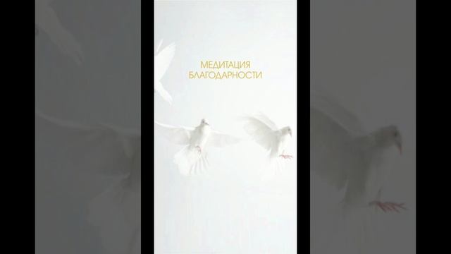 Медитация Благодарности