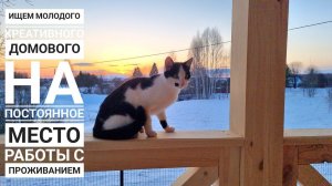 Дом готов к жизни! Первый запуск спуска в Совином доле! Но сначала котик-тролль