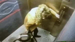 Я в туалете!