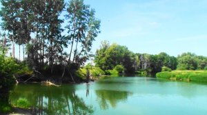 Кипринские луга. Протока _заломная_......mp4