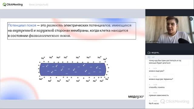 Физиология возбудимых тканей | Нормальная физиология | Медвуза