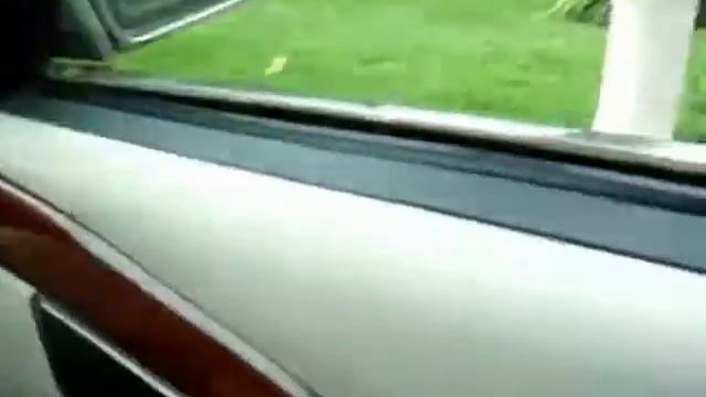 Лебедь хочет попасть в машину! смотреть онлайн