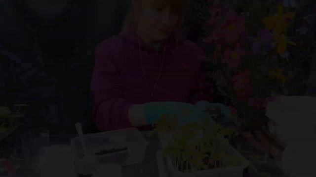 ВЫТЯНУЛАСЬ РАССАДА - ЧТО ДЕЛАТЬ?