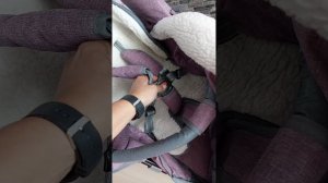 Санки-коляска Nika Ника Детям 7-8К Меховой матрас с овчиной, перекидная ручка, складывание каркаса