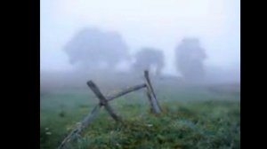 Туманы, туманы.