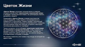 MBM2024
 Новинка: ЧаКарта
