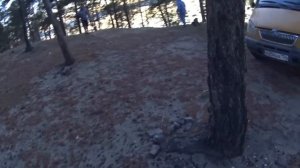 На старой ГАЗЕЛИ на Байкал. Распугали "Дедовским методом" весь остров Ольхон и его обитателей:)