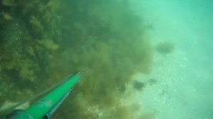 Подводная охота.Донузлав.