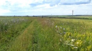 Велосипед "Салют"