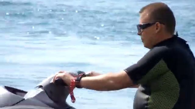 Гагры    сентябрь 2011 смотреть онлайн