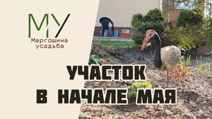Обзор моего участка в начале мая