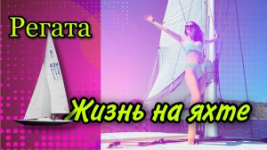 Жизнь на яхте. Регата